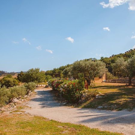 Calami - Villa Romeo - Private Apartments With Pool, Seaview & Olive Grove Santa Caterina Dello Ionio Marina Ngoại thất bức ảnh