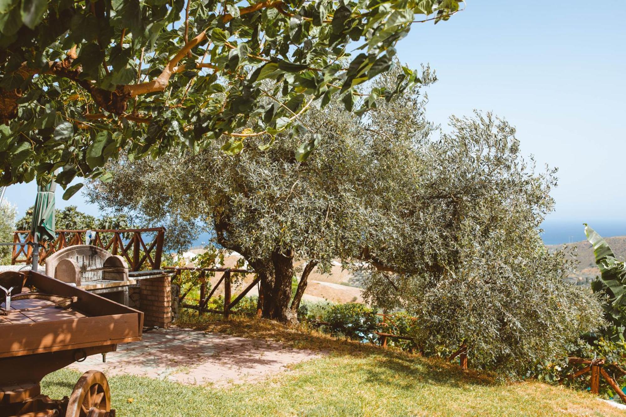 Calami - Villa Romeo - Private Apartments With Pool, Seaview & Olive Grove Santa Caterina Dello Ionio Marina Ngoại thất bức ảnh