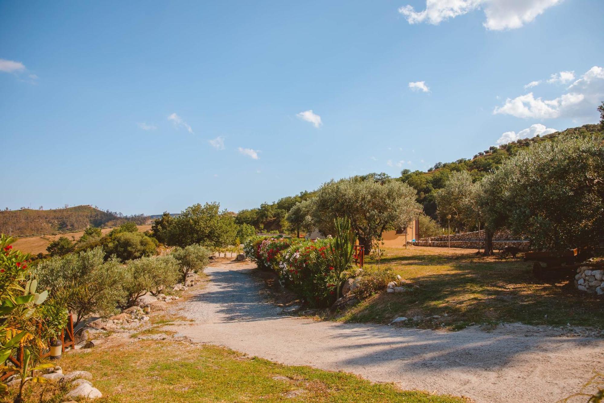 Calami - Villa Romeo - Private Apartments With Pool, Seaview & Olive Grove Santa Caterina Dello Ionio Marina Ngoại thất bức ảnh